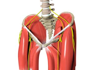 Muscle Strain (Hip)